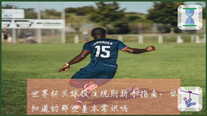 世界杯买球投注规则新手指南,你知道的那些基本常识吗