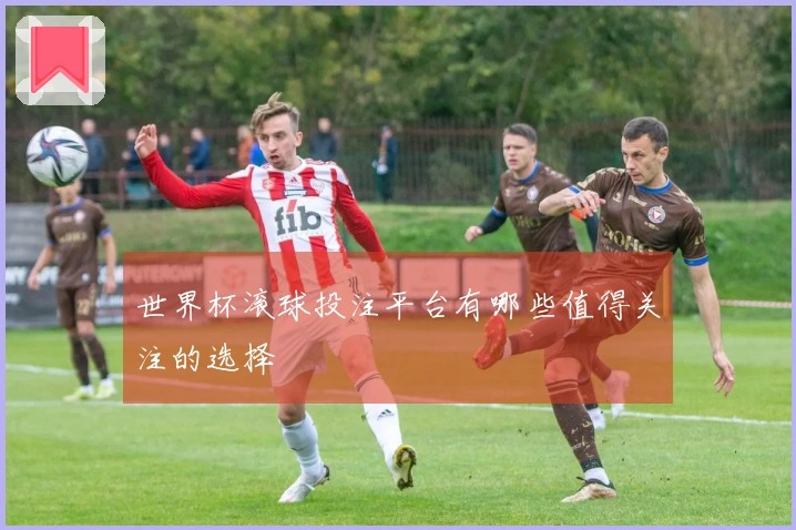 世界杯滚球投注平台有哪些值得关注的选择