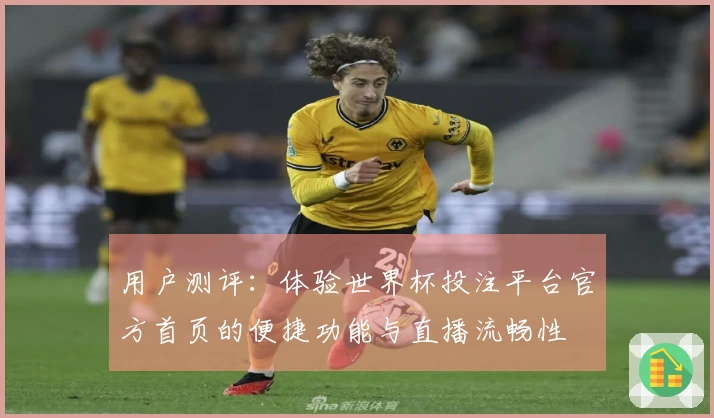 用户测评：体验世界杯投注平台官方首页的便捷功能与直播流畅性
