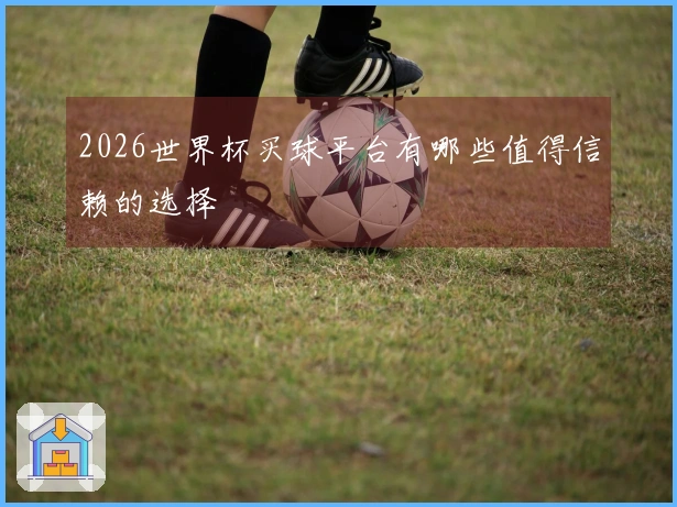 2026世界杯买球平台有哪些值得信赖的选择
