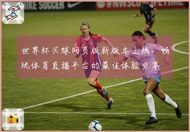 世界杯买球网页版新版本上线,畅玩体育直播平台的最佳体验分享