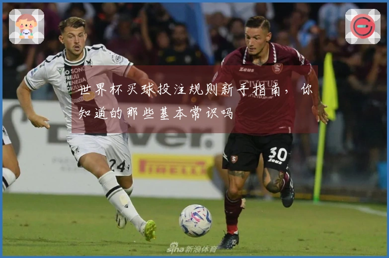 世界杯买球投注规则新手指南，你知道的那些基本常识吗